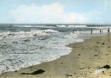 *18687 cpsm Ile d'Oléron - la