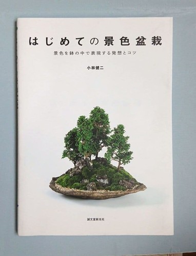 First scenery bonsai ideas - ideas, &