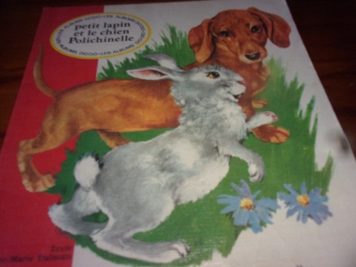 Petit lapin chien - petit, et