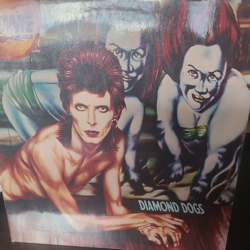 Vinyl tours david bowie - david,