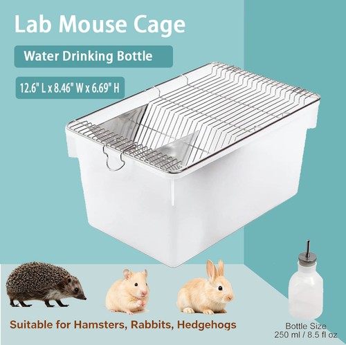 Lab mouse cage rat rodent - mouse,