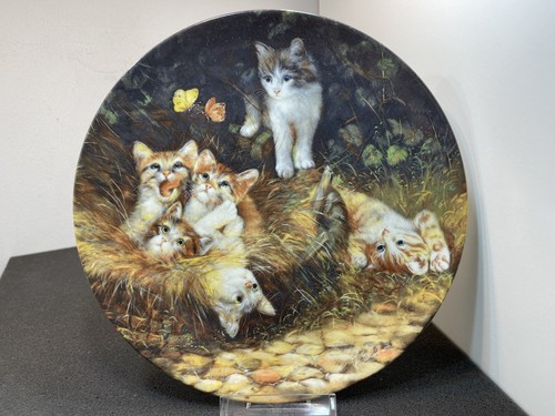 Assiette collection - assiette, de
