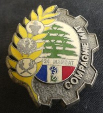 Insigne militaire 420° D.S.L