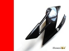 Mv Agusta F4 & Brutal Carbone