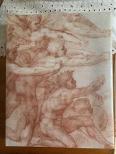 Michelangelo: Divine Draftsman and Designer by Carmen C Bambach: New