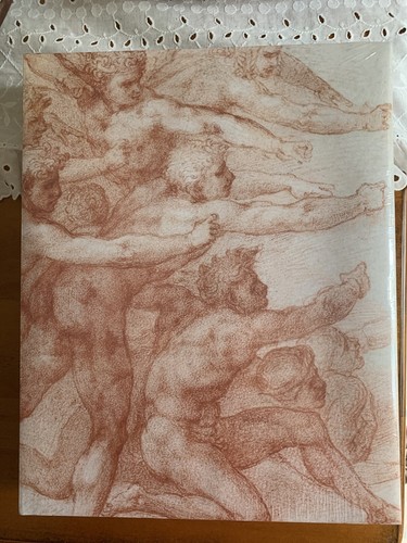 Michelangelo divine draftsman - divine,