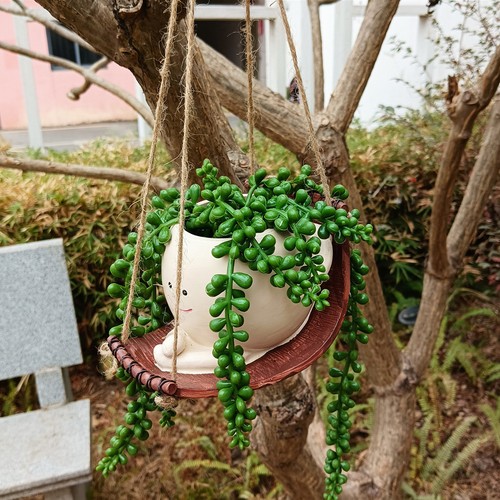 Jardinière Pour Plantes