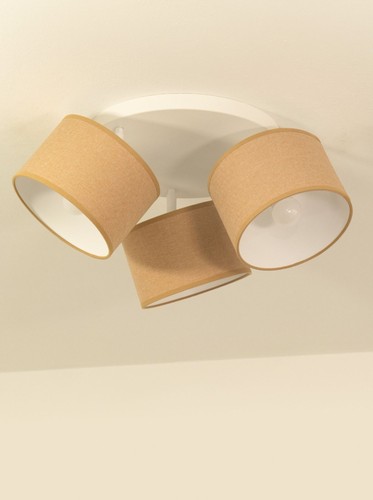 Projecteur plafond pivotant - pivotant, 3