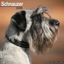 Calendrier 2026 - SCHNAUZER