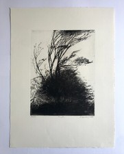 Nicole BOUHARMONT, Tempête