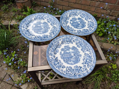 Lot assiettes plates - lot, 3
