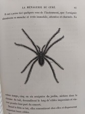 MONDE DES INSECTES GRAVURES