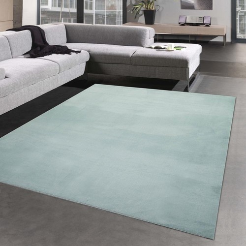 Tapis salon shaggy haut - tapis, de