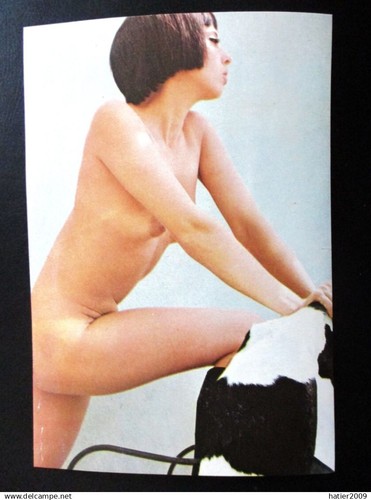 Vintage photo couleur - photo,