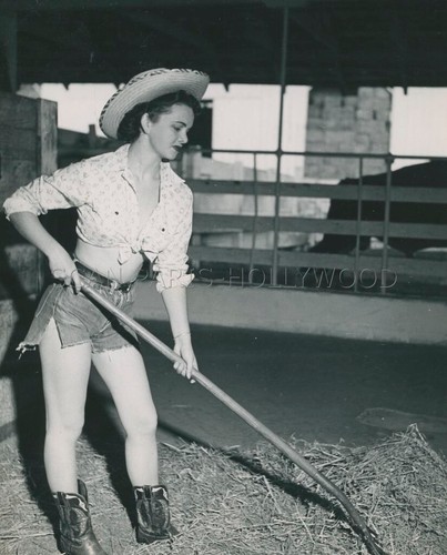 Sexy pin 1950s photo - sexy,