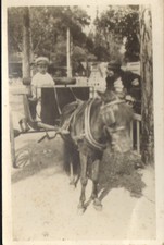 CARTE-PHOTO NON LOCALISEE ATTELAGE AVEC UN PETIT CHEVAL OU PONEY