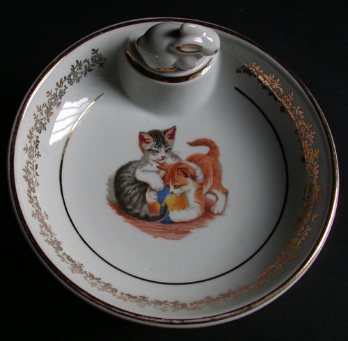 Chat assiette bouillie - chat,