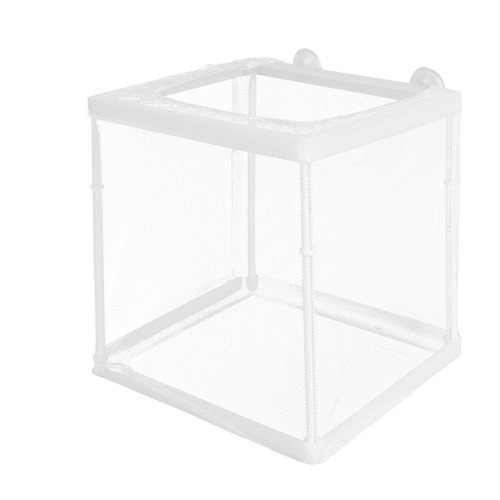 Fish breeding isolation - isolation, box