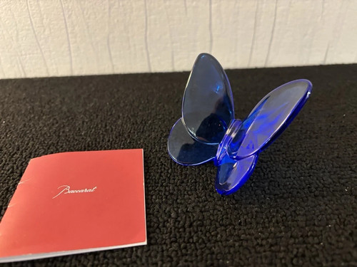 Papillon bleu cobalt - , en