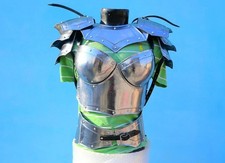 Costume de chevalier