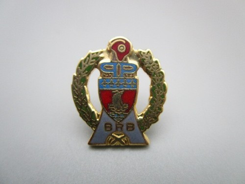 Pins police brb - pins,
