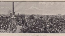 1899  -- PARIS  JARDIN SUR LES TOITS RUE DE VALOIS  7e ET.   LES TONNELLES 3C434