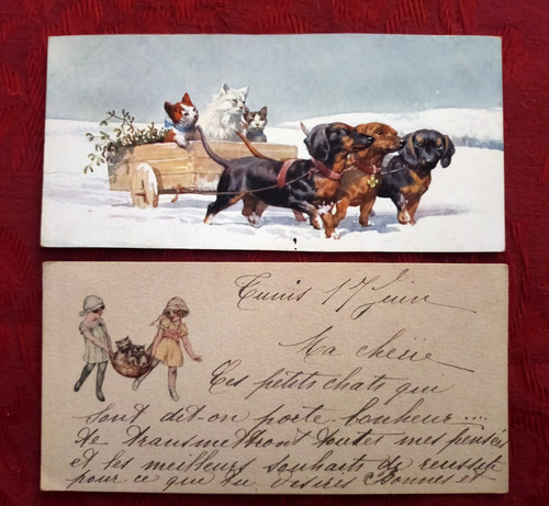 Cpa enfants au panier de - 2,
