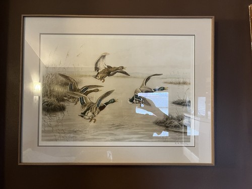 Rotig peintre vol canards - rotig,
