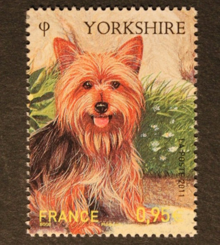 Timbre france yorkshire - timbre,