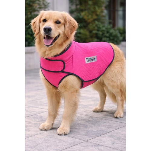 Thundershirt sport dog anxiety - thundershirt,
