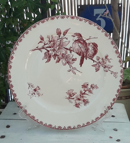 Assiette plate sarreguemines - plate,