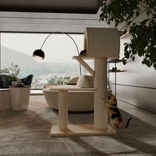 Arbre à chat deux niveaux en bois robuste avec griffoir