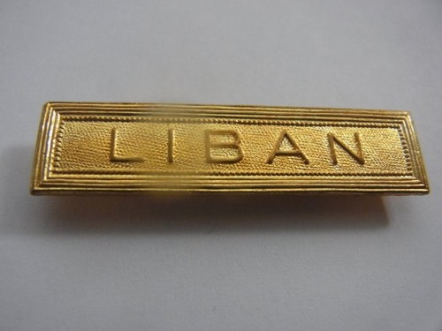 Agrafe barrette liban taille - agrafe,