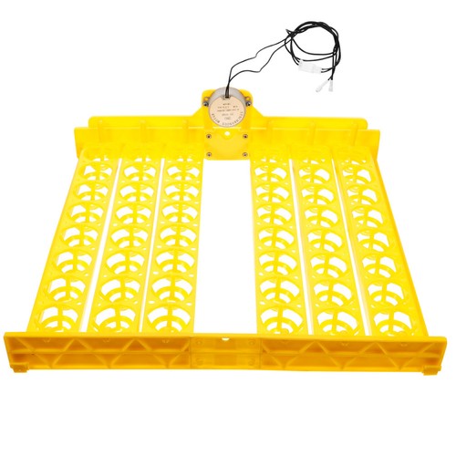 Pièce incubateur poulets - À,