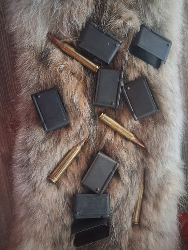 Garand enblock clips - garand, clips,