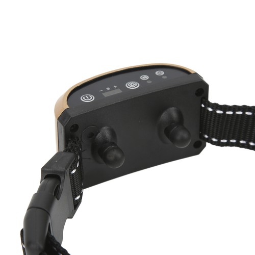 Collier anti aboiement pour - anti-aboiement,
