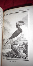 Ornithologie buffon histoire - ornithologie,