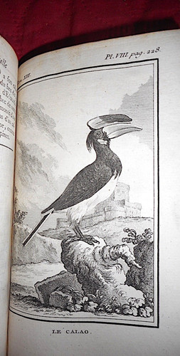 Ornithologie buffon histoire - ornithologie,