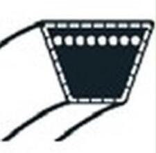 COURROIE pour tondeuse