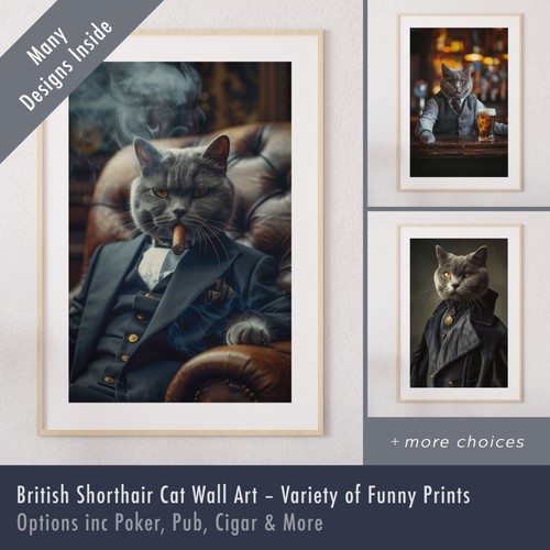 British shorthair cat - wall, art