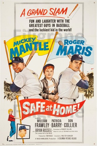 Safe home film rhat poster - home,