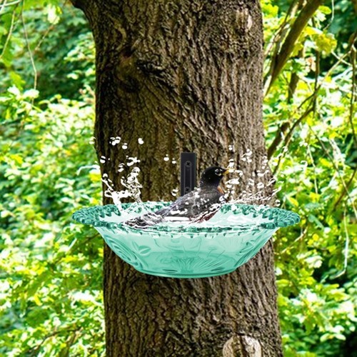 Mangeoire pour colibri design
