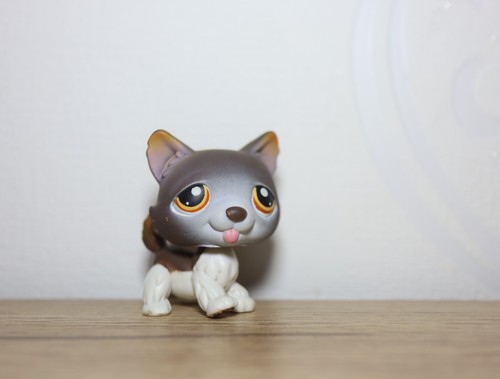 Littlest petshop husky 174 - littlest,