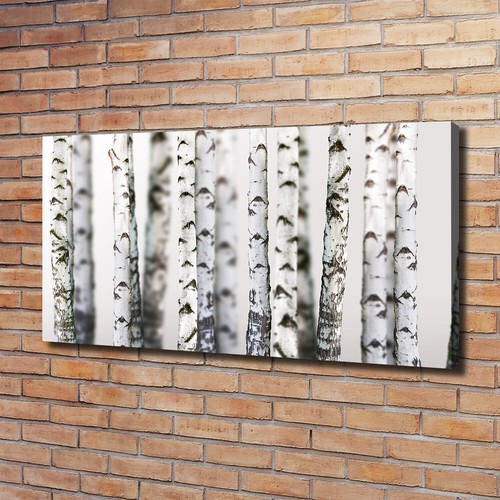 Tulup image sur - image, toile