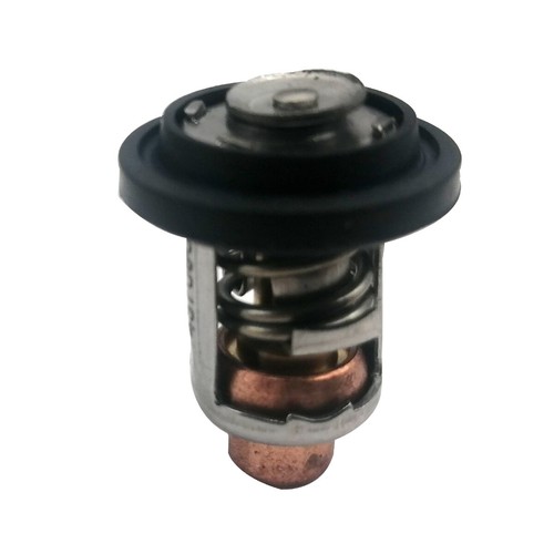 Thermorégulateur marin pour