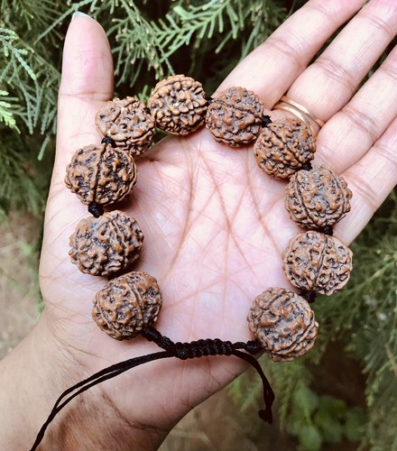 Bracelet rudraksh naturel - bracelet,