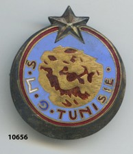 Insigne sahara , Groupe Mobile de Securité /  TUNISIE