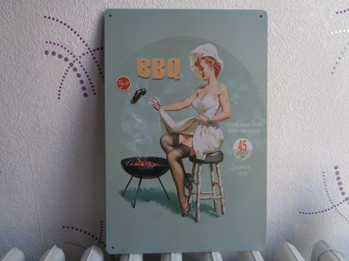 Tole metal pin cuissiniere - metal,