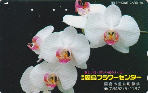 Rare télécarte japon - rare, fleur
