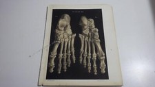 1850.lithographie couleur
